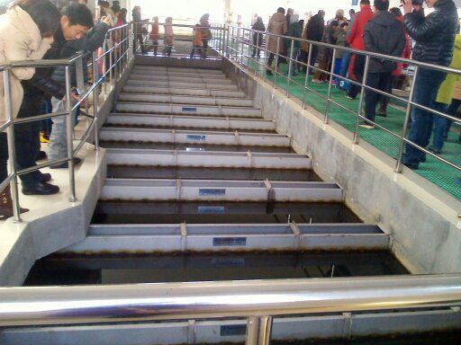 DS���ܶȳ����