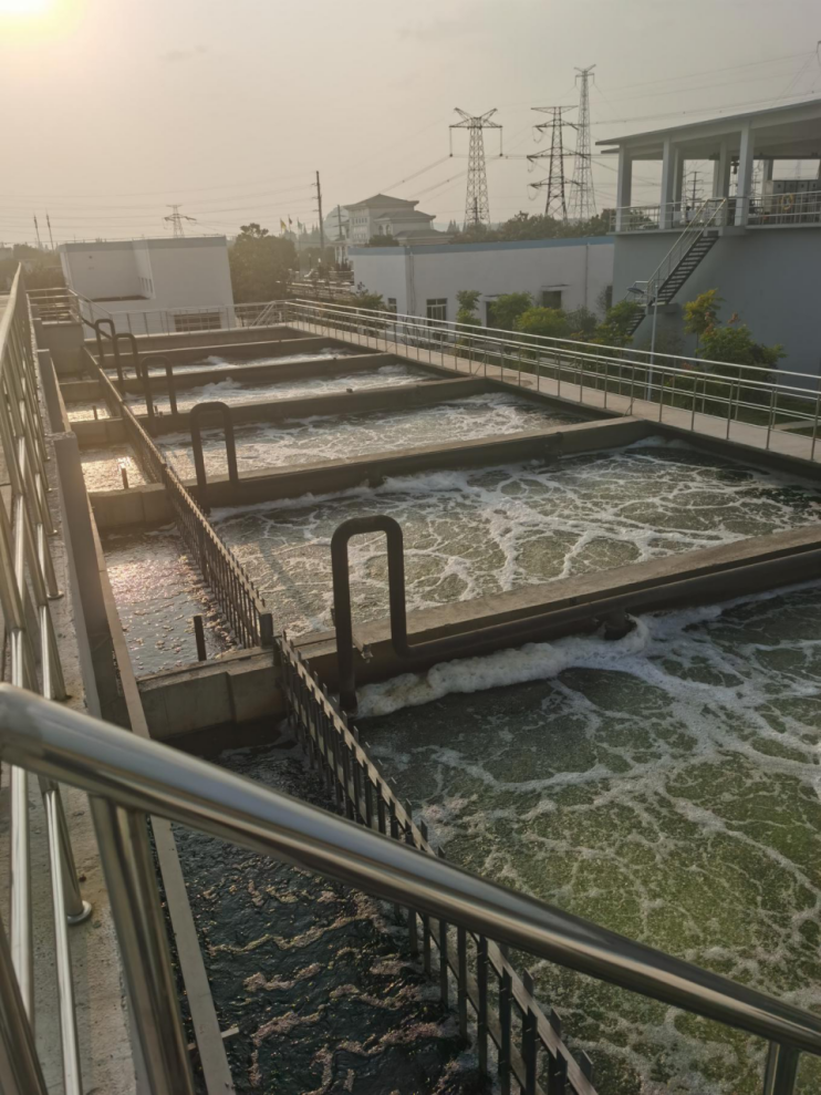 ���������˳أ�BAF�أ�